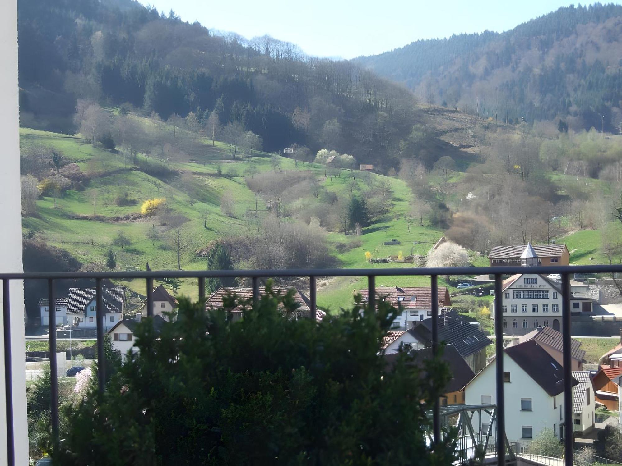 Regina'S Gaestehaus Weisenbach Zewnętrze zdjęcie